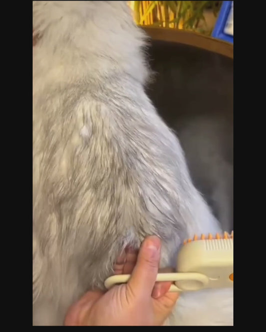 Steam Pet Grooming Brush Self-Cleaning Dog & Cat Hair Remover with Water Tank